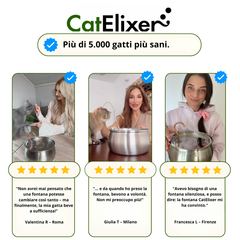 AquaFlow™ 1.0 – Mantieni il tuo gatto in buona salute e ben idratato (4L)