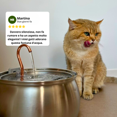 AquaFlow™ 1.0 – Mantieni il tuo gatto in buona salute e ben idratato (4L)